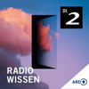 Cover: Radiowissen