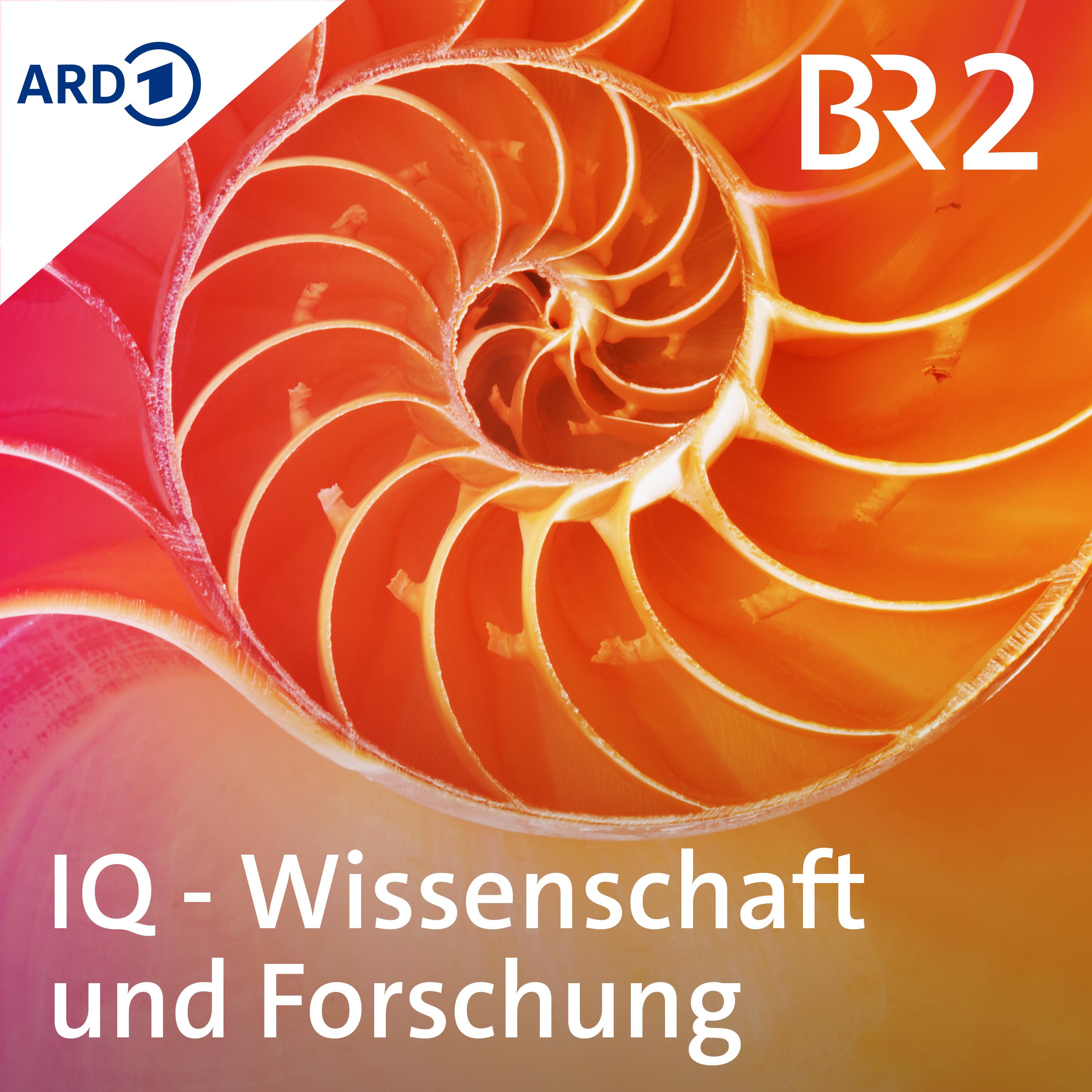 Cover: IQ - Wissenschaft und Forschung