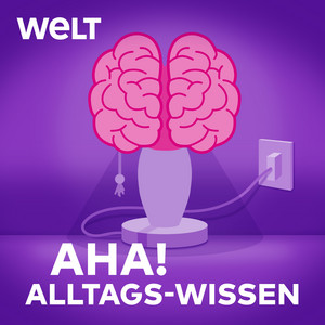 Cover: Aha! Zehn Minuten Alltags-Wissen