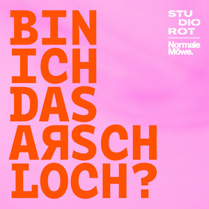 Cover: Bin ich das Arschloch?