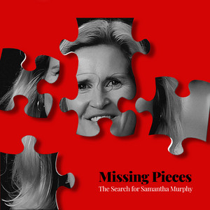 Cover: Missing Pieces