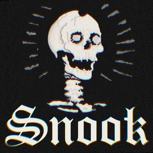 Cover: Snook