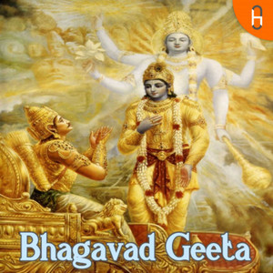 Cover: Bhagavad Gita (Hindi)