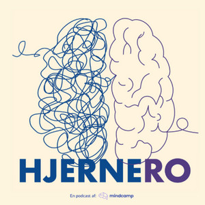 Cover: HjerneRO 