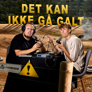 Cover: Det kan ikke gå galt