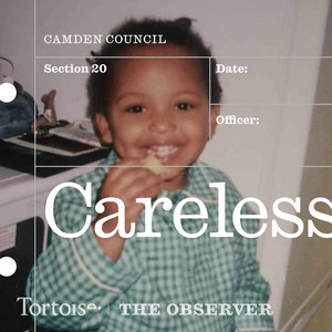 Cover: Careless | Tortoise Investigates
