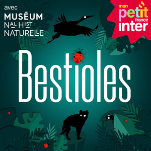 Cover: Bestioles