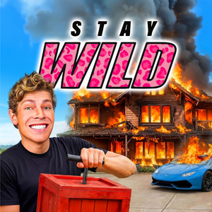 Cover: STAY WILD