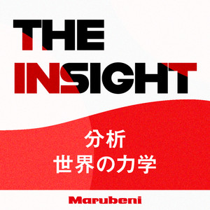 Cover: THE INSIGHT ～分析 世界の力学～
