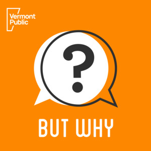 Cover: But Why: A Podcast for Curious Kids
