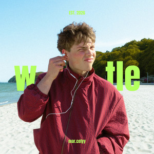 Cover: Podcast w tle