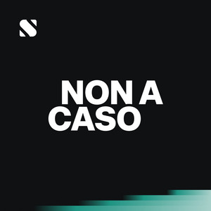 Cover: Non a caso
