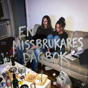 Cover: En missbrukares dagbok