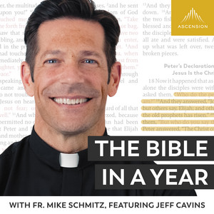 Cover: The Bible in a Year (with Fr. Mike Schmitz)