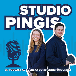 Cover: Studio Pingis