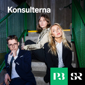 Cover: Konsulterna
