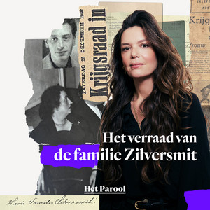 Cover: Het verraad van de familie Zilversmit