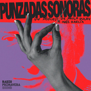 Cover: Punzadas Sonoras