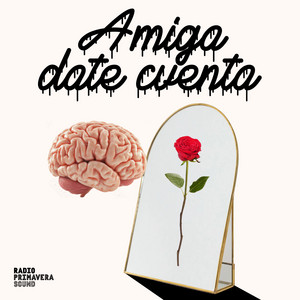 Cover:  Amiga Date Cuenta 