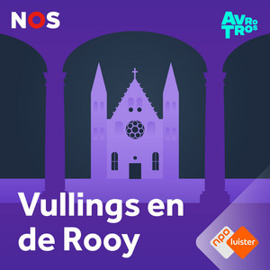 Cover: De Stemming van Vullings en De Rooy