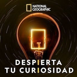 Cover: DESPIERTA TU CURIOSIDAD