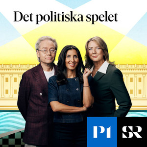 Cover: Det politiska spelet