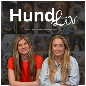 Cover: Hundliv