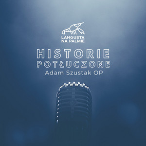 Cover: Historie potłuczone