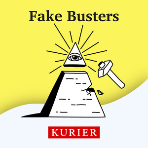 Cover: Fake Busters