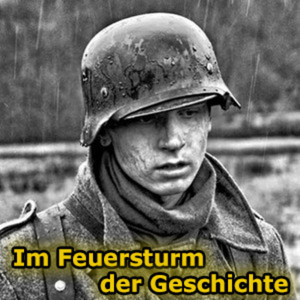 Cover: Im Feuersturm der Geschichte
