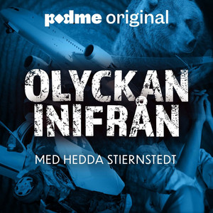 Cover: Olyckan inifrån