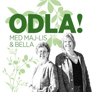 Cover: ODLA!