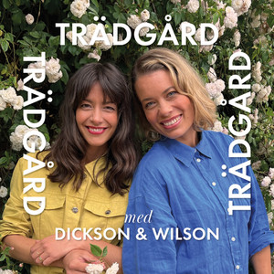 Cover: Trädgård Trädgård Trädgård med Dickson och Wilson