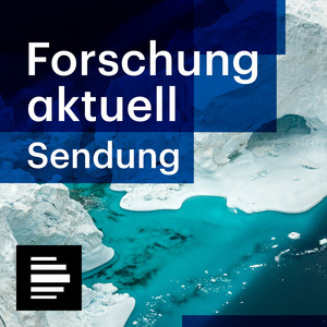 Cover: Forschung aktuell