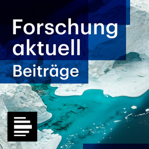 Cover: Forschung aktuell