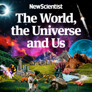 Cover: The World, the Universe and Us