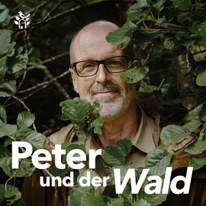 Cover: Peter und der Wald