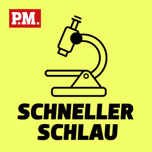 Cover: Schneller schlau - Der kurze Wissenspodcast von P.M.