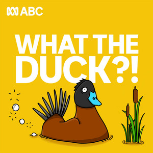 Cover: What The Duck?!