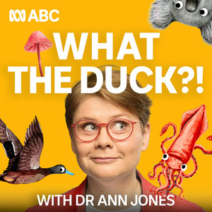 Cover: What The Duck?!