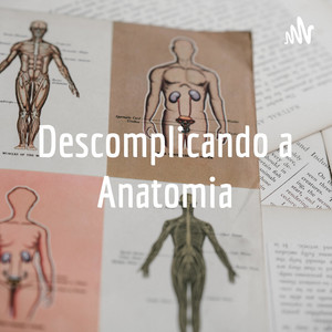 Cover: Descomplicando a Anatomia