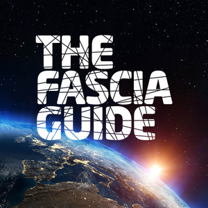 Cover: Fasciaguiden