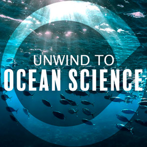 Cover: Unwind to Ocean Science