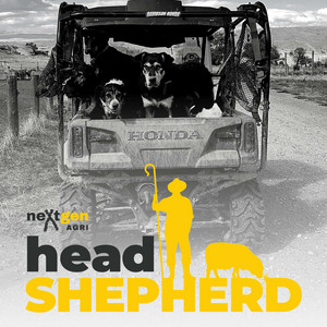 Cover: Head Shepherd