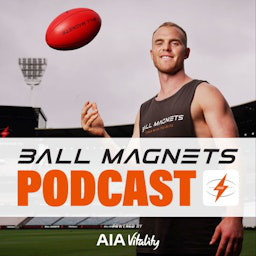 Cover: Ball Magnets