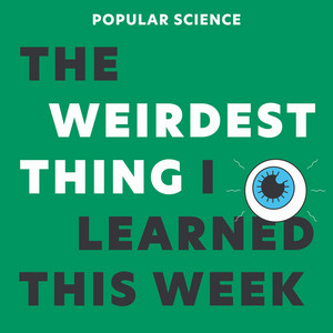 Cover: The Weirdest Thing I Learned This Week