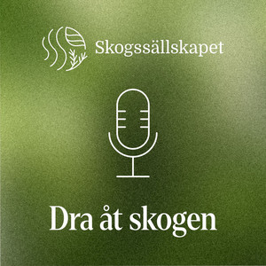 Cover: Dra åt skogen