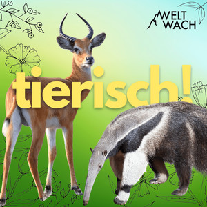 Cover: tierisch! – Zwei Forscherinnen und die wilde Welt der Tiere.