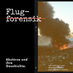 Cover: Flugforensik - Abstürze und ihre Geschichte