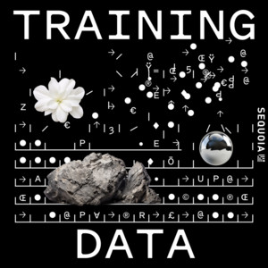Cover: Training Data